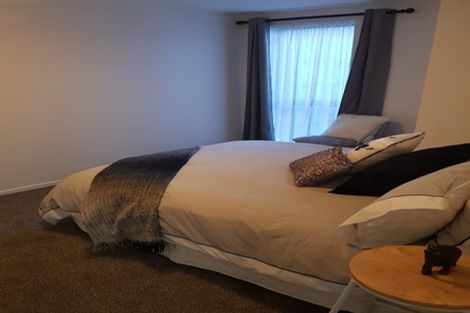 Photo of property in Dual Apartments, 203/142u Vivian Street, Te Aro, Wellington, 6011