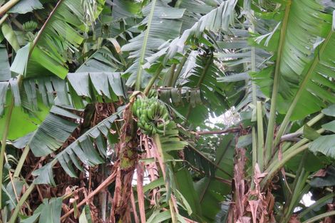 Photo of property in 61 Wiroa Road, Kerikeri, 0293