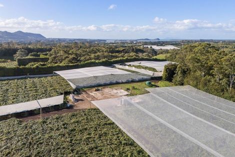 Photo of property in 416 State Highway 2, Tahawai, Katikati, 3170