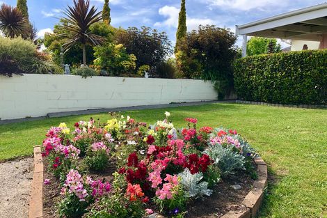 Photo of property in 259 Saint Marys Avenue, Te Awamutu, 3800