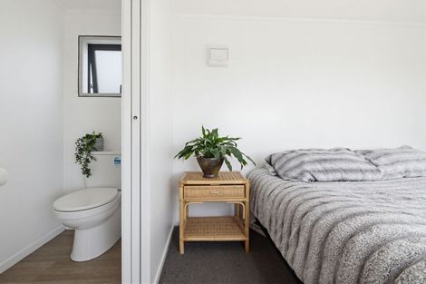 Photo of property in 153 Chapman Road, Pukekawa, Tuakau, 2696