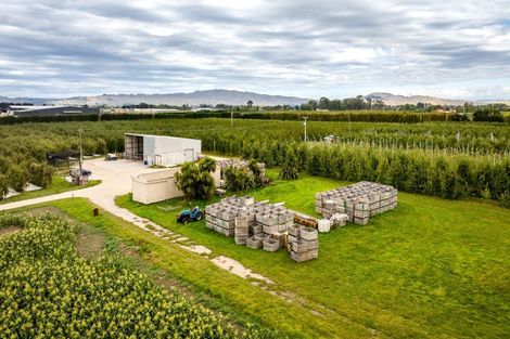 Photo of property in 5 Feltwell Place, Mangere Bridge, Auckland, 2022