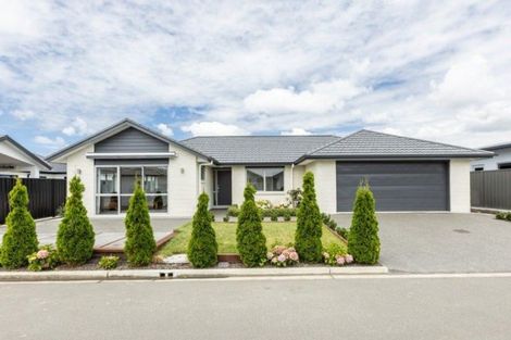 Photo of property in 14 Rangataiki Place, Te Awa, Napier, 4110