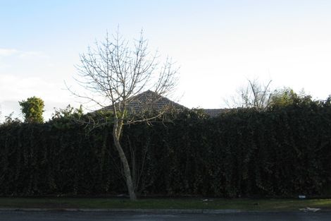 Photo of property in 217 Fox Street, Hamilton East, Hamilton, 3216