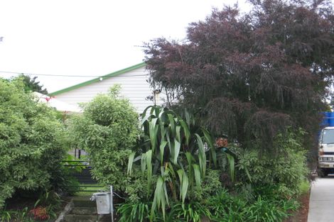 Photo of property in 18 Buscomb Avenue, Henderson, Auckland, 0610