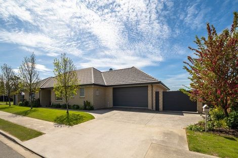Photo of property in 37 Maeburn Street, Witherlea, Blenheim, 7201