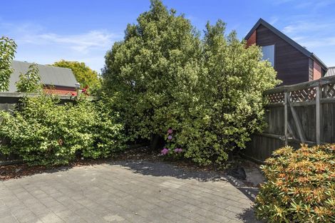 Photo of property in 8/37 Cornwall Street, St Albans, Christchurch, 8014