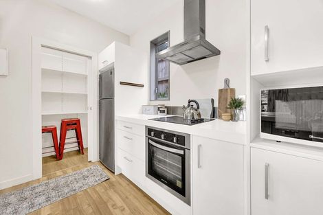 Photo of property in 3uj Papawai Terrace, Mount Cook, Wellington, 6021