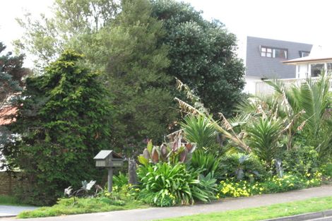 Photo of property in 55 Fifth Avenue, Tauranga, 3110