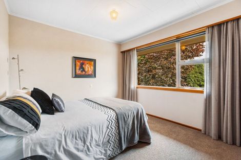 Photo of property in 3 Hart Place, Bridge Hill, Alexandra, 9320