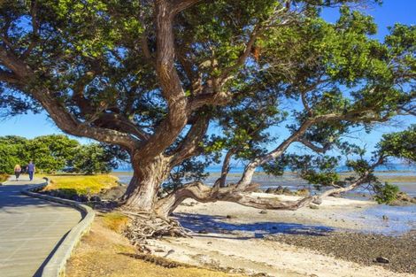 Photo of property in 62 Papakura-clevedon Road, Clevedon, Papakura, 2582