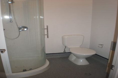 Photo of property in Dual Apartments, 106/142u Vivian Street, Te Aro, Wellington, 6011