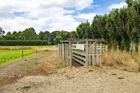 Photo of property in 279 Longbeach Road, Willowby, Ashburton, 7773