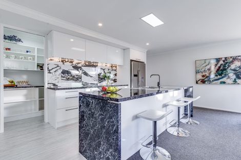 Photo of property in 17 Kate Sheppard Drive, Rolleston, 7615