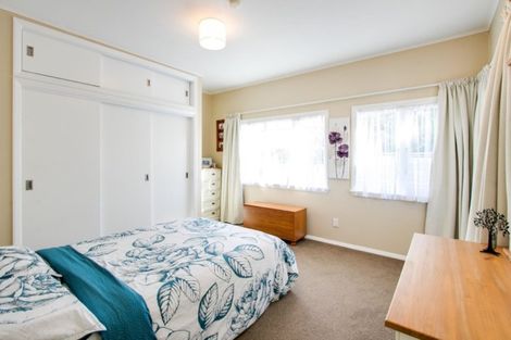 Photo of property in 915 Churchill Street, Akina, Hastings, 4122
