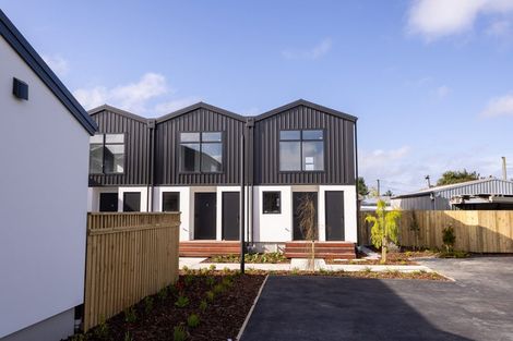 Photo of property in 45 Bordesley Street, Phillipstown, Christchurch, 8011