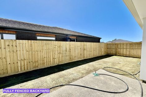 Photo of property in 13 John Gibb Street, Belfast, 8051