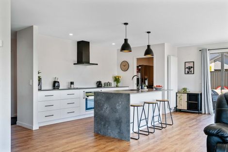 Photo of property in 43 Larch Crescent, Alexandra, 9320