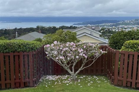 Photo of property in 29 Putnam Street, Northland, Wellington, 6012