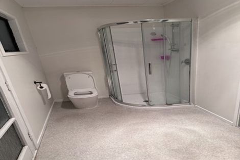Photo of property in 133 Finlayson Avenue, Clendon Park, Auckland, 2103