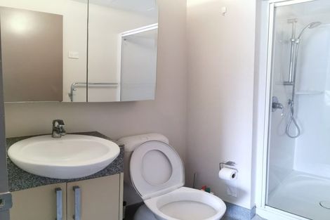 Photo of property in Dual Apartments, 108/142u Vivian Street, Te Aro, Wellington, 6011
