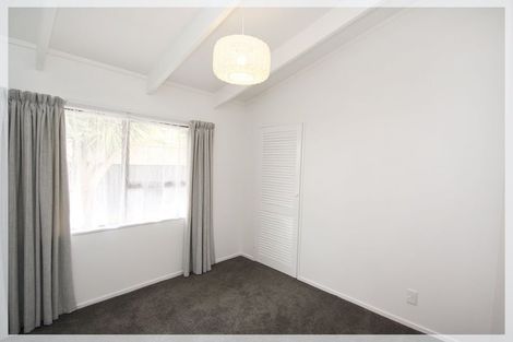 Photo of property in 133 Tiro Tiro Road, Levin, 5510
