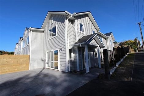 Photo of property in 5u2 Edgecumbe Street, Whitiora, Hamilton, 3200