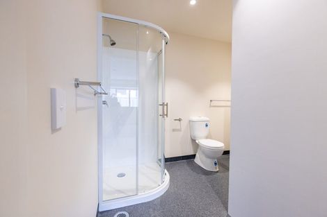 Photo of property in Te Kainga Te Aka, 203 Willis Street, Te Aro, Wellington, 6011