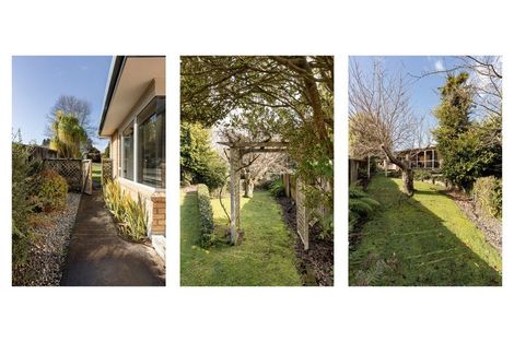 Photo of property in 21 Arrowfield Drive, Pyes Pa, Tauranga, 3112