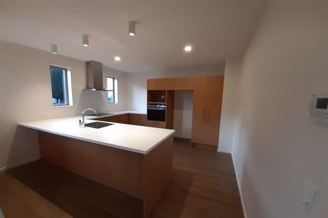 Photo of property in 395 Selwyn Street, Addington, Christchurch, 8024