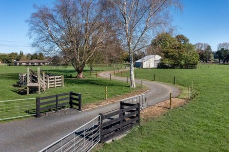 Photo of property in 16 Mill Road, Ohaupo, 3881