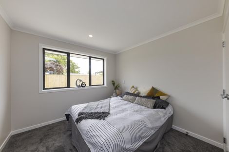 Photo of property in 107a Queen Street West, Levin, 5510