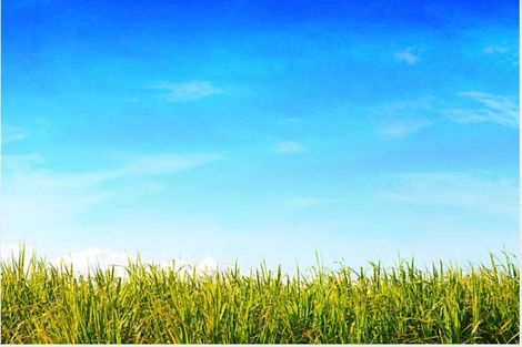 Photo of property in 14 Putahi Crescent, Opaheke, 2113