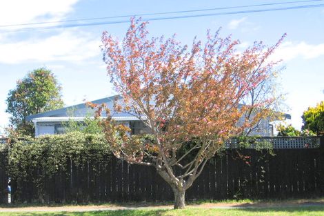 Photo of property in 24 Matipo Street, Taupo, 3330