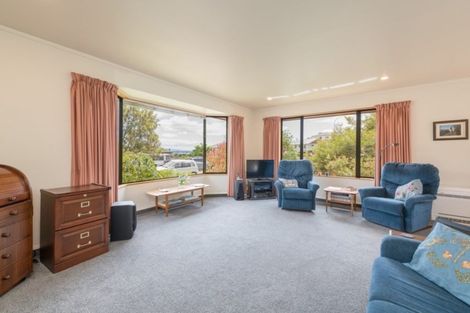 Photo of property in 295 Hill Street, Richmond, 7020