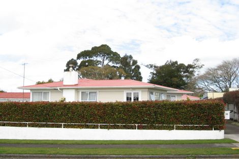 Photo of property in 13 Curtis Street, Stratford, 4332