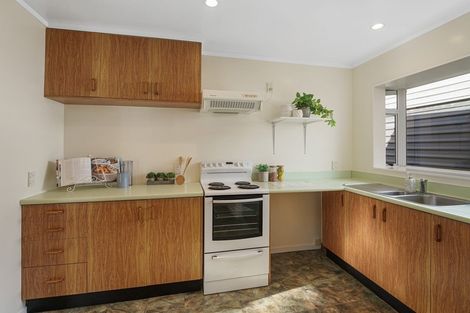 Photo of property in 61 Park Avenue, Waikanae, 5036