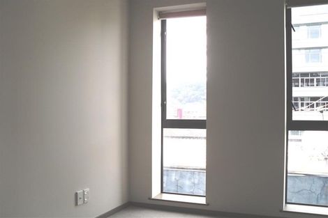 Photo of property in Dual Apartments, 306/142u Vivian Street, Te Aro, Wellington, 6011