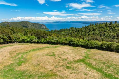 Photo of property in 431 Kawakawa Road, Marotiri, Taupo, 3377