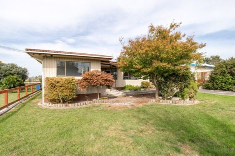 Photo of property in 18 Orchard East Road, Ngatea, 3503