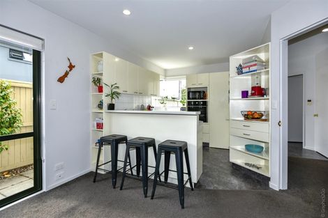 Photo of property in 53 Hawkesbury Avenue, St Albans, Christchurch, 8014