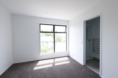 Photo of property in 45 Bordesley Street, Phillipstown, Christchurch, 8011
