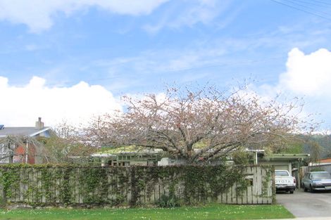 Photo of property in 52 Hood Street, Ngongotaha, Rotorua, 3010