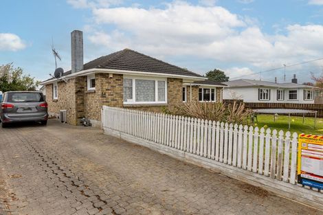 Photo of property in 34 Elizabeth Street, Levin, 5510