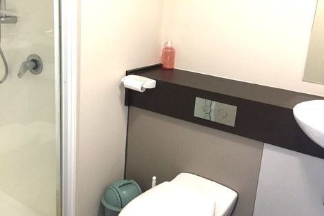 Photo of property in The Peak Apartments, 401/170 Taranaki Street, Te Aro, Wellington, 6011