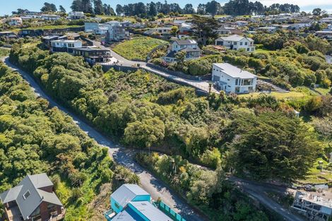 Photo of property in 2l Clayton Street, Saint Clair, Dunedin, 9012