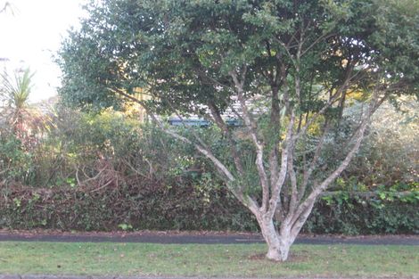 Photo of property in 113 Dey Street, Hamilton East, Hamilton, 3216