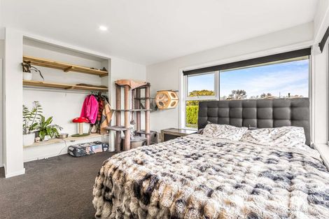 Photo of property in 81 Gray Crescent, Kaiapoi, 7630