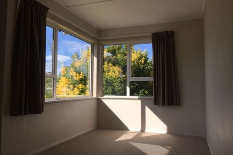 Photo of property in 29 Middlesex Street, Levin, 5510