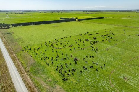 Photo of property in 282 Sharlands Road, Dunsandel, Rakaia, 7783